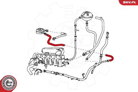 Шланг радиатора