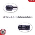 Газова пружина, багажник/кузов