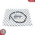 Шланг, утечка топлива