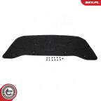 Ізоляція підкапотного простору