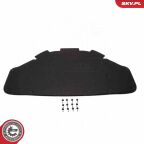 Ізоляція підкапотного простору