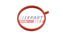 Ущільнювальне кільце, шланг подачі наддувального повітря