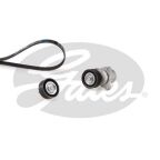 Комплект поліклинових ременів