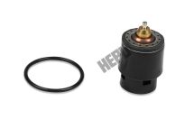 Термостат, охлаждающая жидкость