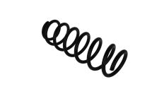 Пружина ходової частини