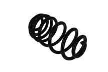 Пружина ходової частини