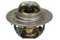 Термостат, охлаждающая жидкость, фото 1 - интернет-магазин Auto-Mechanic