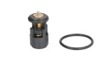 Термостат, охлаждающая жидкость Термостат, охлаждающая жидкость