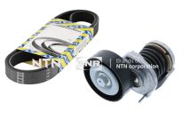 Роликовий модуль натягувача ременя (ролик, ремінь)