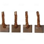 Щітка стартера