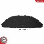 Ізоляція підкапотного простору