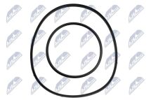 Ущільнювальне кільце, корпус форсунки 