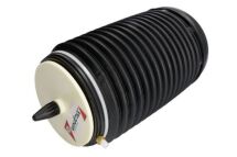 Пневмоподушка