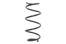 Пружина підвіски