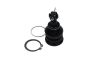 TOYOTA кульова опора Yaris 1.0 05-11, 1.8 07-11, фото 2 - интернет-магазин Auto-Mechanic