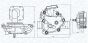 TOYOTA Оливний насос HIGHLANDER 2.4 00-, CAMRY 2.4 01-, RAV 4 II 2.4 03-, RAV 4 III 2.4 05-, фото 1 - інтерент-магазин Auto-Mechanic