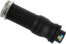 Пневмоподушка кабіни