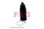 Пильник рейки рульової Mini R50/R53/R55/R56/R57/R58/R61 01-15, фото 1 - інтерент-магазин Auto-Mechanic