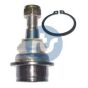 Опора кульова (передня/знизу) Ford Transit 00-14/Connect 02-, фото 1 - інтерент-магазин Auto-Mechanic