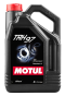 Трансмісійна олива MOTUL TRH 97, 5 літрів, фото 1 - интернет-магазин Auto-Mechanic