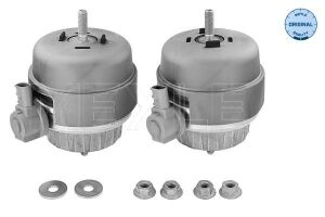Подушка двигуна Audi A6 2.7-3.0TDI quattro 04-11 (К-кт) (Всередині ОЕ quality)