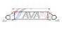 Інтеркулер W211 200/220CDI 02-, фото 1 - интернет-магазин Auto-Mechanic