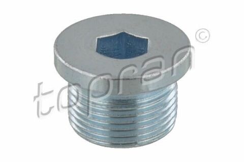 Пробка різьбова M22*1.5 Пробка різьбова M22*1.5