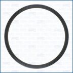 Прокладка, вакуумный насос