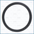 Ущільнювальне кільце водяного насоса Fiat 500X (334_) 1.6 2014–2020, Jeep Renegade (BU, B1, BV) 1.6 2014–2018 Ущільнювальне кільце водяного насоса Fiat 500X (334_) 1.6 2014–2020, Jeep Renegade (BU, B1, BV) 1.6 2014–2018