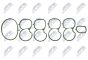 Комплект прокладок, впускной коллектор Alfa Romeo Giulietta 1.6Jtdm 2010-,Fiat Bravo 1.6Jtd 2008-,Doblo 1.6Jtd 2010-,Grande Punto 1.6Jtd 2008-,Jeep Renegade 1.6Jtd 2014-,Opel Combo 1.6Cdti 2012-, фото 1 - интернет-магазин Auto-Mechanic