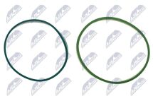 Комплект прокладок, впускной коллектор Bmw F01