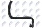 Оливний шланг Citroen C4 1.6Thp 2008-,C5 Iii 1.6Thp 2009-,Peugeot 308 1.6Thp 2013-,508 1.6Thp 2010-, фото 3 - інтерент-магазин Auto-Mechanic