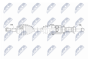 Приводний вал Ford Transit Connect, Tourneo Connect 1.6T Ecoboost 150Km 13-, фото 1 - інтерент-магазин Auto-Mechanic