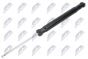 Амортизатор Skoda Rapid 12-19,Seat Toledo 12-19,Vw Polo 10-22, фото 1 - інтерент-магазин Auto-Mechanic