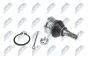 Шарнир независимой подвески / поворотного рычага Toyota Yaris 99-05-, Urban Cruiser 09-, Verso 10-, Iq 08-, фото 1 - интернет-магазин Auto-Mechanic