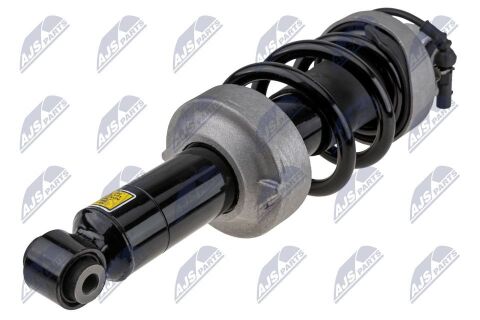 Амортизатор Audi R8 07-15, R8 Spyder 10-15 Амортизатор Audi R8 07-15, R8 Spyder 10-15