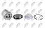 Комплект колісних підшипників Citroen C3 09-, Ds3 09-, Peugeot 208 12-, 301 12-, фото 1 - интернет-магазин Auto-Mechanic