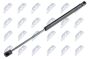 Газова пружина, кришка капота L=427Mm, F=240N Chevrolet Captiva; Opel Antara 06-, фото 1 - интернет-магазин Auto-Mechanic
