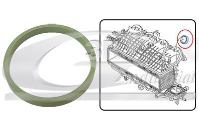 Прокладка коллектора IN VW Golf/Caddy 1.4/1.6 16V 00- Прокладка коллектора IN VW Golf/Caddy 1.4/1.6 16V 00-