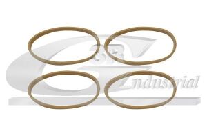 Прокладки (Комплект 4шт) дроссельной заслонки MEGANE 02- 1.6, SCÉNIC 03- 1.6/2.0, LAGUNA 1.6/2.0 01-07