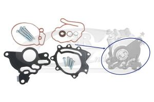 Ремкомплект на вакуумної помпи з гвинтами VW Passat b6
