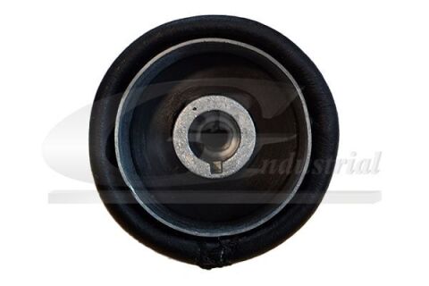 Ручка важеля КПП 5ст. (Silver) IVECO DAILY IV 06-11 Ручка важеля КПП 5ст. (Silver) IVECO DAILY IV 06-11