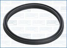 Прокладка трубки охлаж. жид.(46X5.0) VW GOLF 1.6/2.0D 12-20, TRANSPORTER T6 2.0D 15- SKODA OCTAVIA 12-20