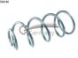 Пружина перед. Ford C-Max 2.0TDCI 07-10 /Focus C-Max 2.0TDCi 03-07, фото 1 - інтерент-магазин Auto-Mechanic