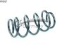 Пружина перед. Nissan Qashqai 1.5DCi/2.0 06-13, фото 1 - интернет-магазин Auto-Mechanic