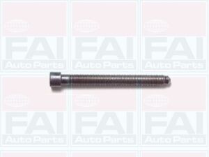Комплект гвинтів головки блоку (10шт) 1.8 VW Passat B5 /Audi A4, A6