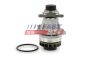 Водяной насос Nissan/Opel/Renault Master 2,3dci 10-, фото 1 - интернет-магазин Auto-Mechanic