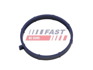 Прокладка IN коллектора FORD TRANSIT 2.2D 06-14