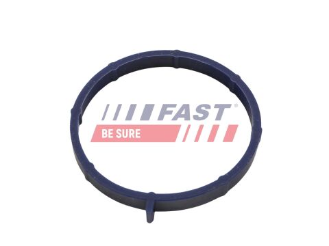 Прокладка IN колектора FORD TRANSIT 2.2D 06-14 Прокладка IN колектора FORD TRANSIT 2.2D 06-14