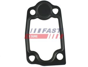 Прокладка термостата Citroen/Fiat/Peugeot 3.0 Hdi 06-